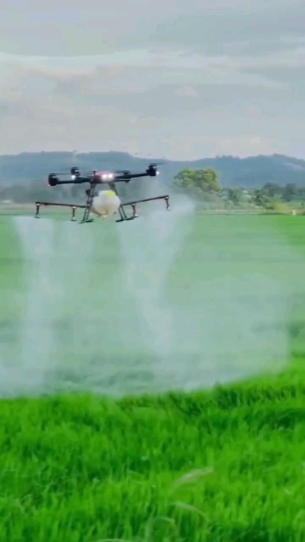 Falcon AgroPro X3 опрыскивает рисовое поле